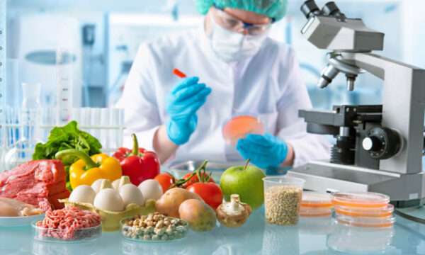 Supervising Food Safety in Catering