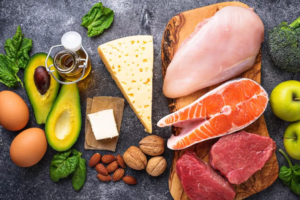 Low-Carb and High-Protein Diets