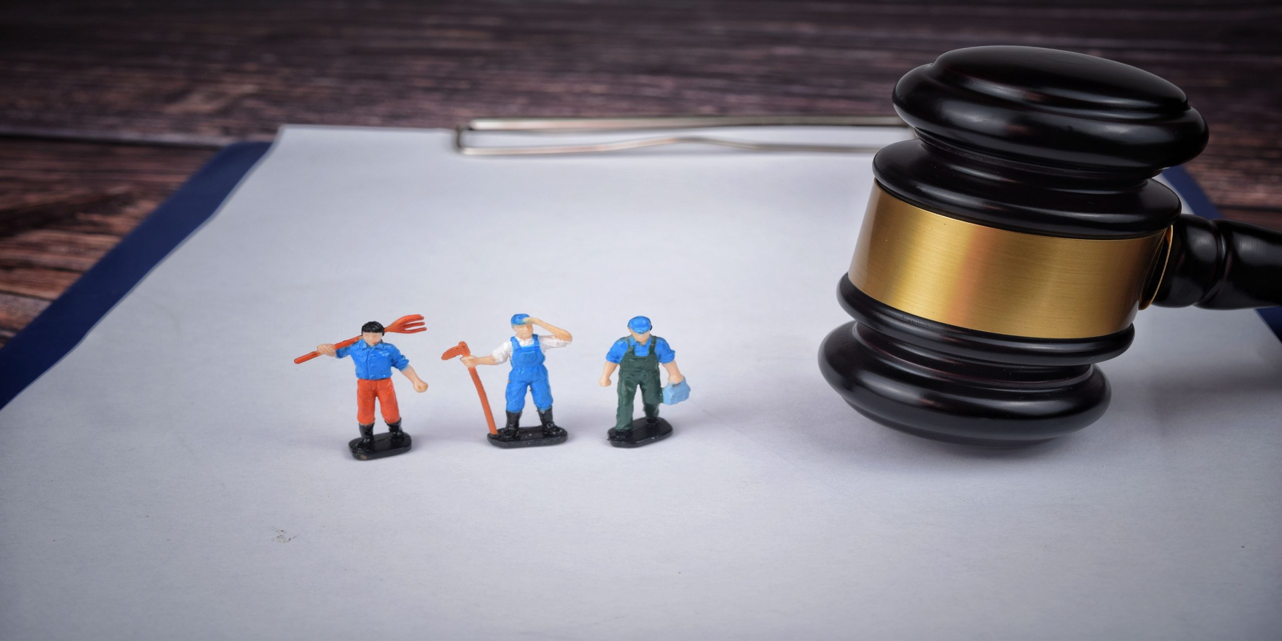 Employment Law