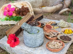 Ayurveda Course