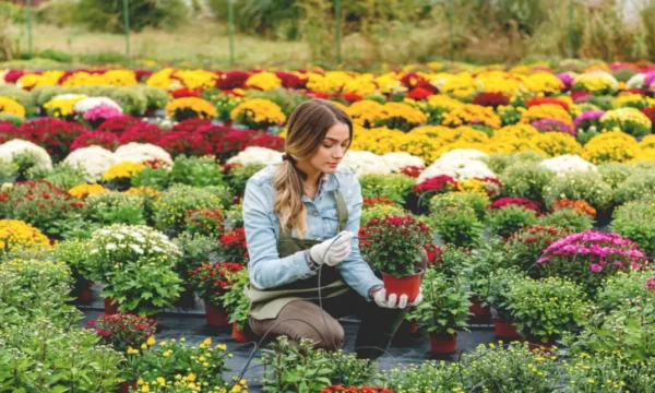 Floristry Course