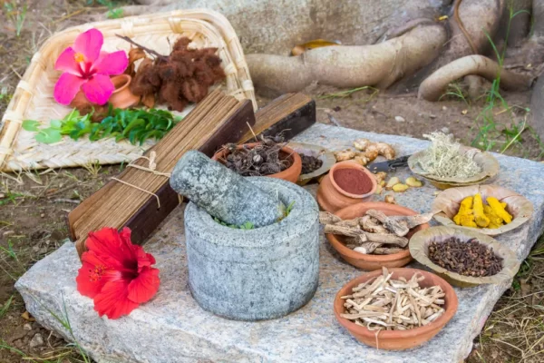 Ayurveda Course