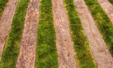 Garden Design with Sleepers and Gravel