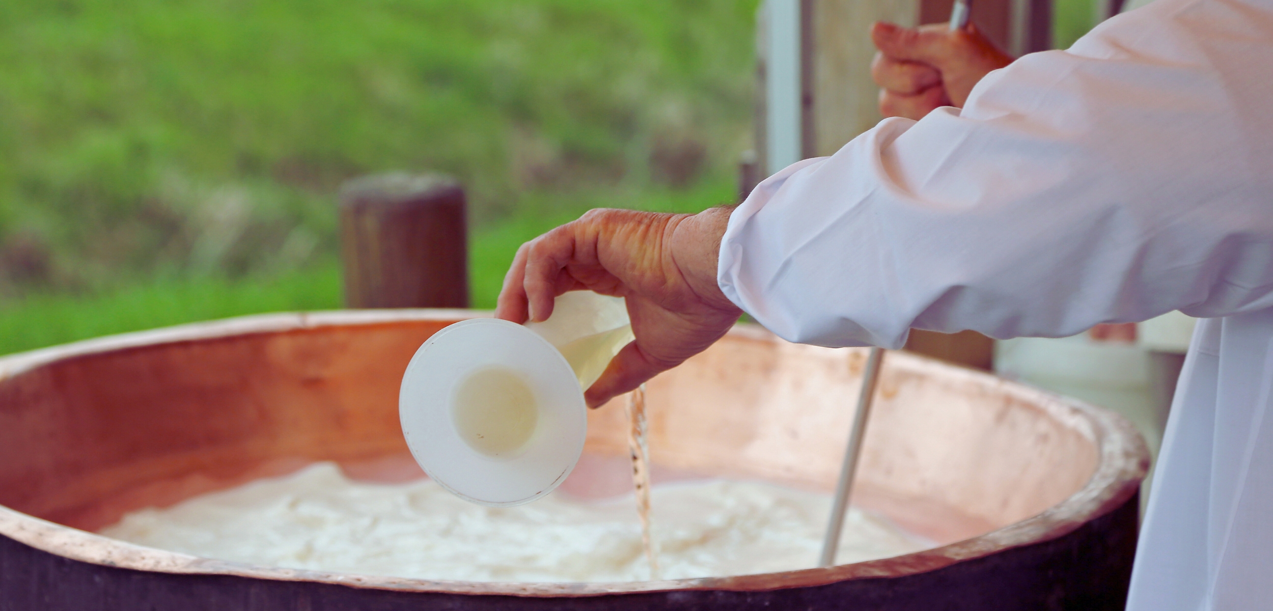 Does Grana Padano Still Contain Animal Rennet 