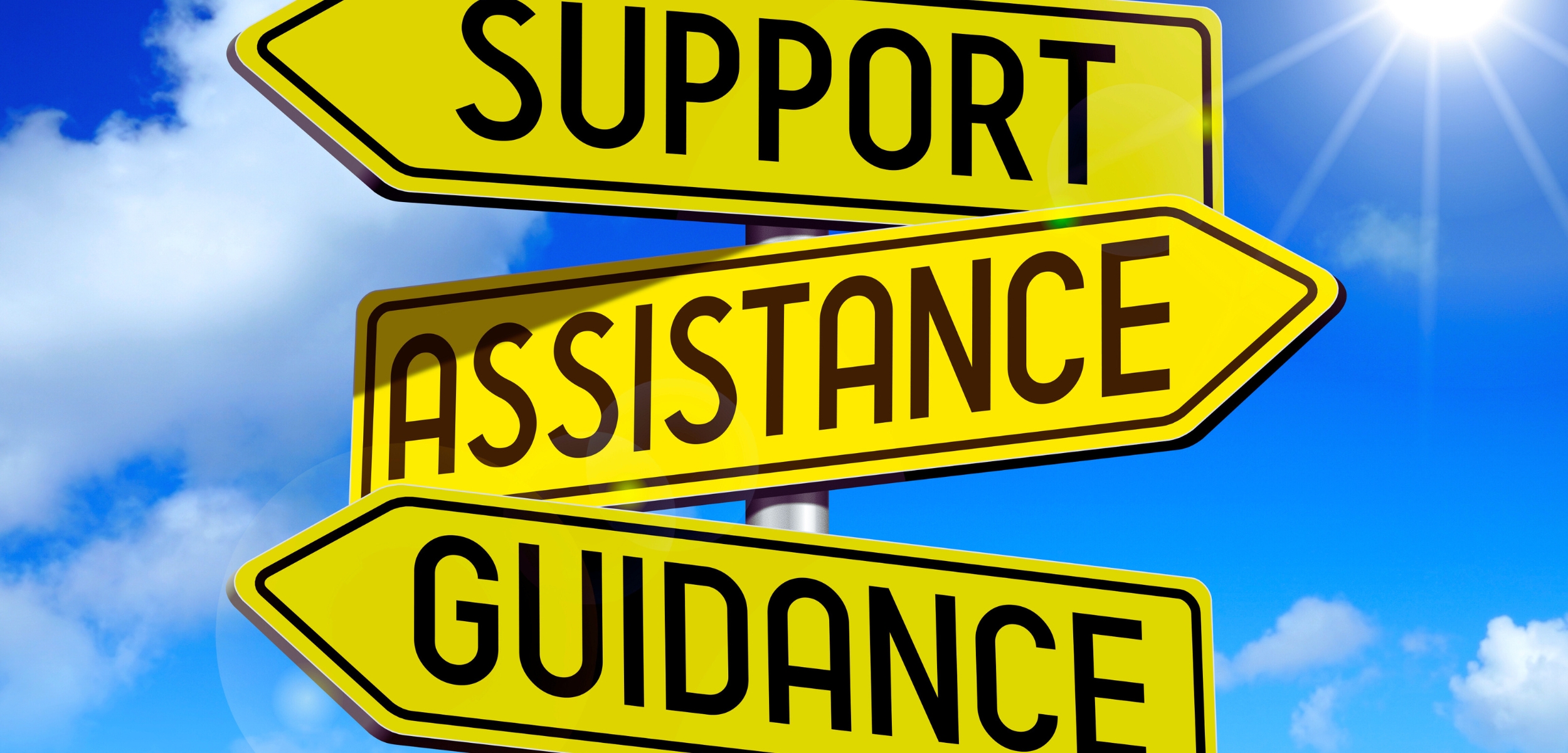 Are There Volunteer or Entry-Level TA Roles Available?