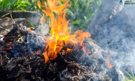 can you burn garden waste
