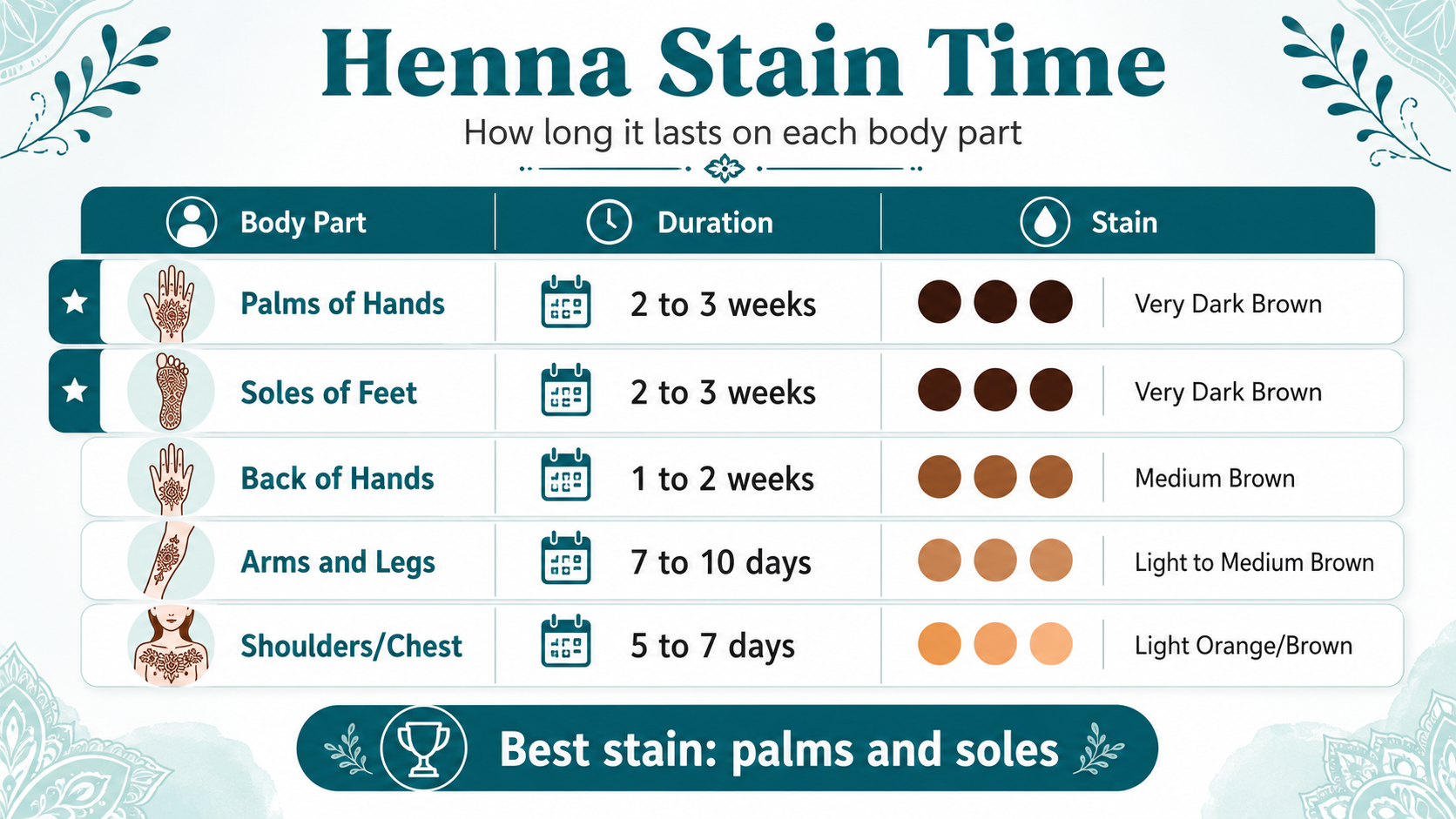 Stain Duration Comparison