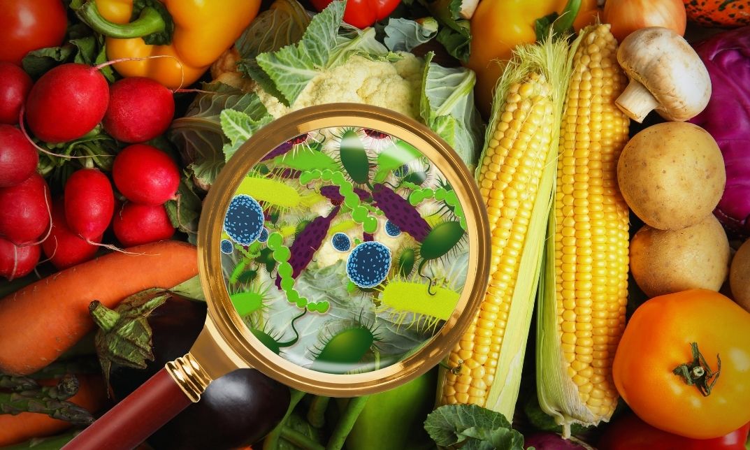 4 Types of Food Contamination