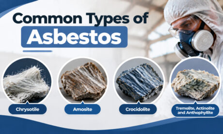 how many common types of asbestos