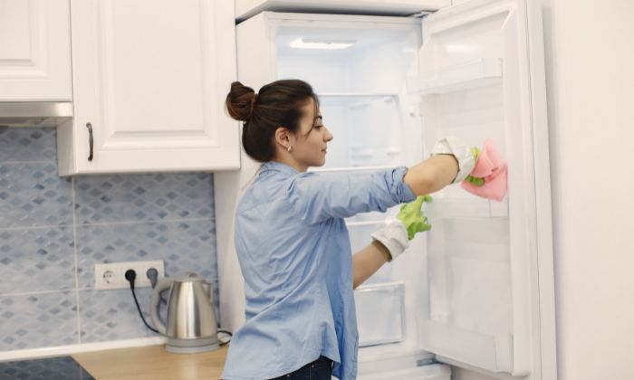 how to clean a refrigerator properly